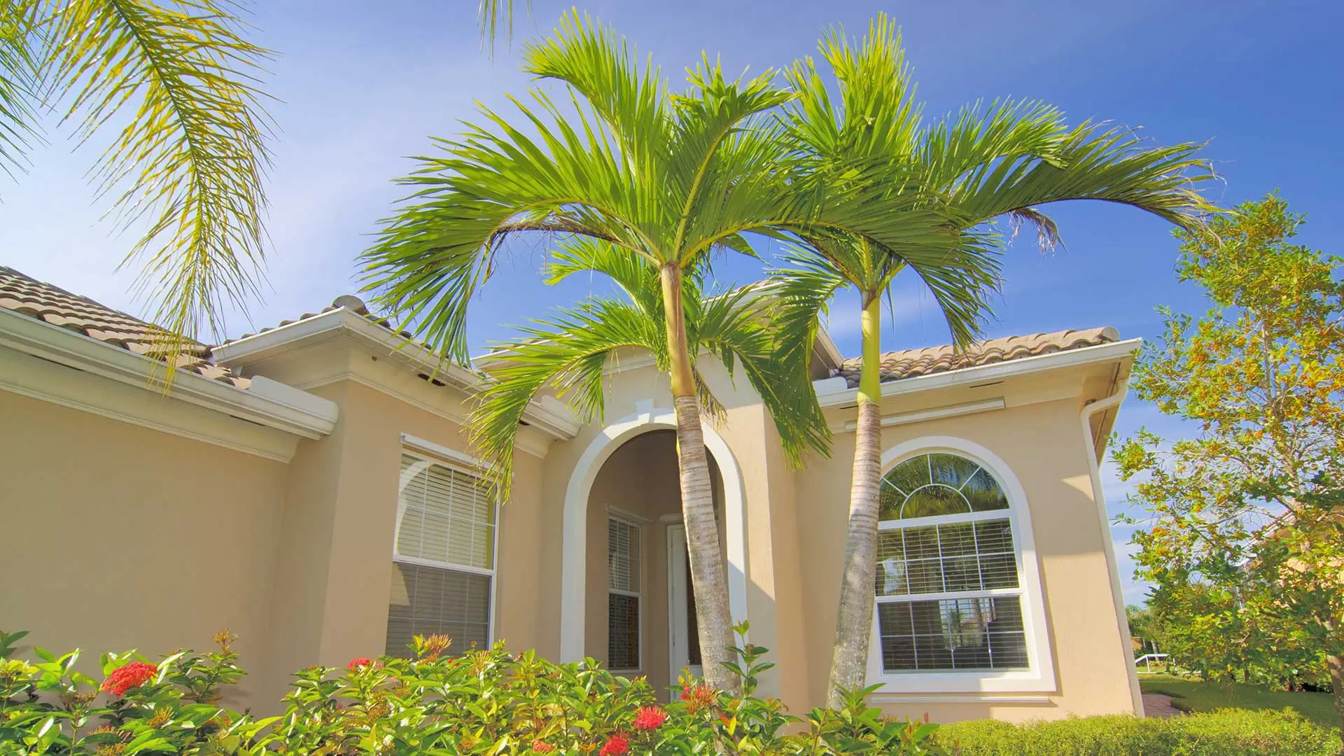 Palm trees shown in landscape for a home in Estero, FL.